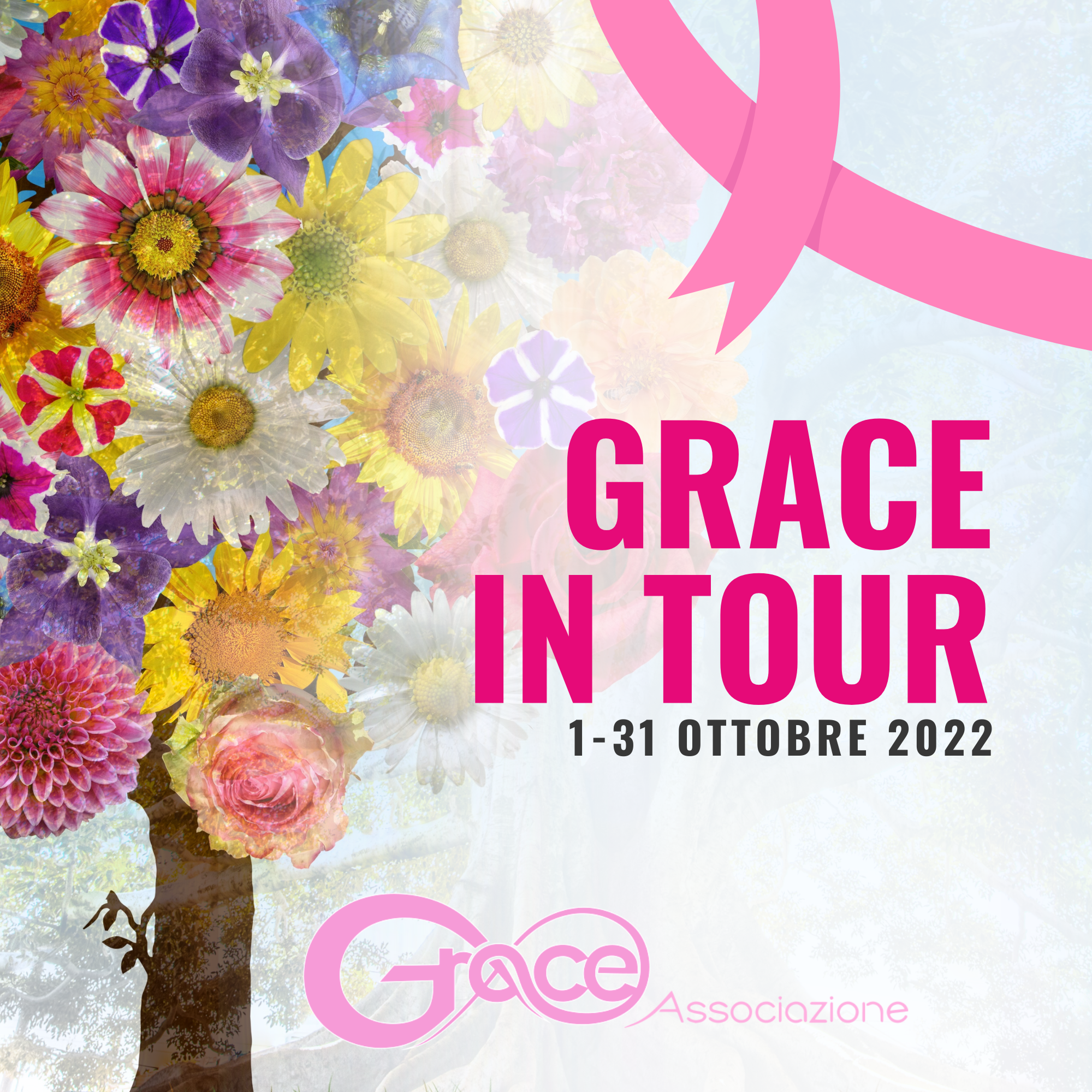 Grace in Tour
